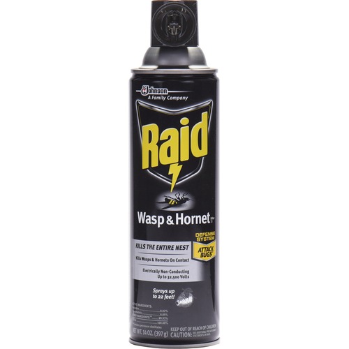 INSECTICIDE,WASPHORNT,RAID