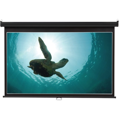 Wall Projection Screen, 65"x116", Black